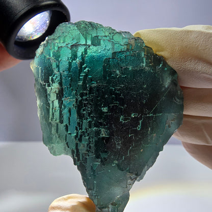 Spécimen de cube de fluorite fantôme transparente, vert parqueté, Okorusu, Namibie, 65 x 46 x 28 mm 