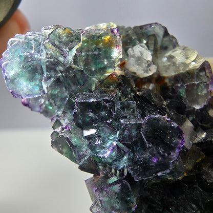 Rare cube de fluorite fantôme, spécimen de quartz vert violet Okorusu Namibie 43*33*26mm 