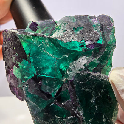 Spécimen de cube de fluorite fantôme vert violet zonal 11:11 Angel Pocket, Namibie 69*53*40mm 