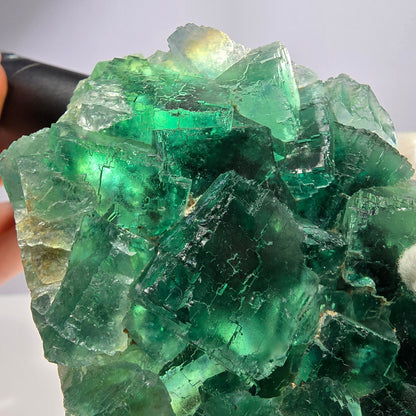 Grand cube de fluorite fantôme étagé vert violet Okorusu Namibie 100 x 75 x 29 mm 