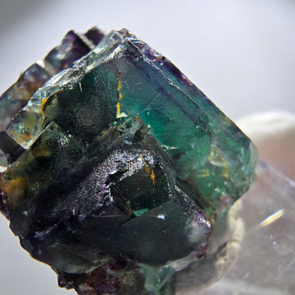 Spécimen rare de cube de fluorite fantôme, vert zonal et violet, Okorusu, Namibie, 35 x 26 x 20 mm 