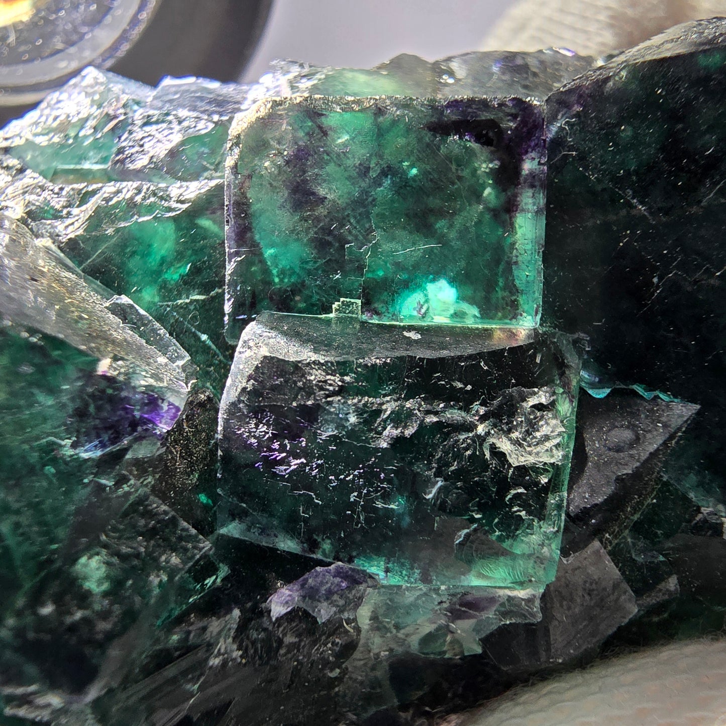 Rare spécimen de cube de fluorite fantôme, parqueté zonal Okorusu Namibie 73 x 44 x 33 mm 