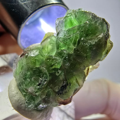 Cube de fluorite fantôme, zonal, spécimen de tourmaline Schorl, Erongo, Namibie, 23 x 15 x 14 mm 