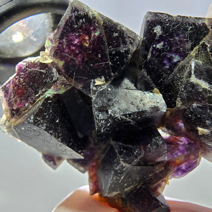 Rare spécimen de cube de fluorite fantôme, vert violet jaune Okorusu, Namibie 48 x 39 x 14 mm 