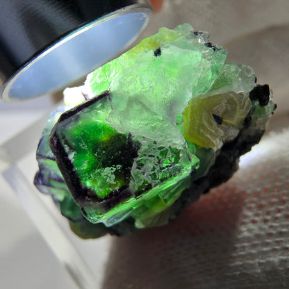 Cube de fluorite fantôme zonal, tourmaline muscovite Schörl Erongo Namibie 31*22*18mm 