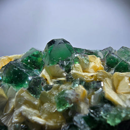 Rare Phantom Fluorite Cubes, Muscovite Specimen Erongo, Namibia 51*31*24mm 