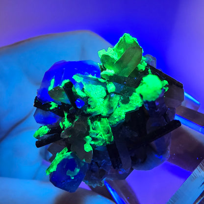 Fluorite fantôme hexagonale, tourmaline Schörl, quartz fumé, hyalite, Erongo, Namibie, 34 x 30 x 31 mm 