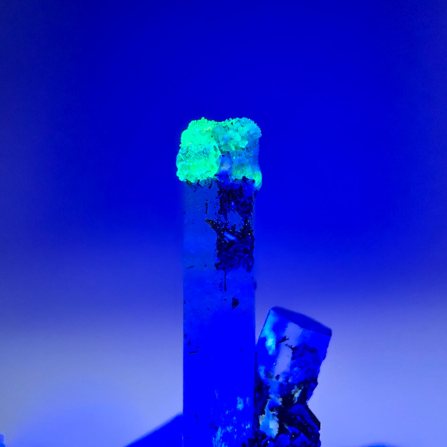 Klare Aquamarin XX Stufe, blau Erongo, Namibia 25*9*7mm