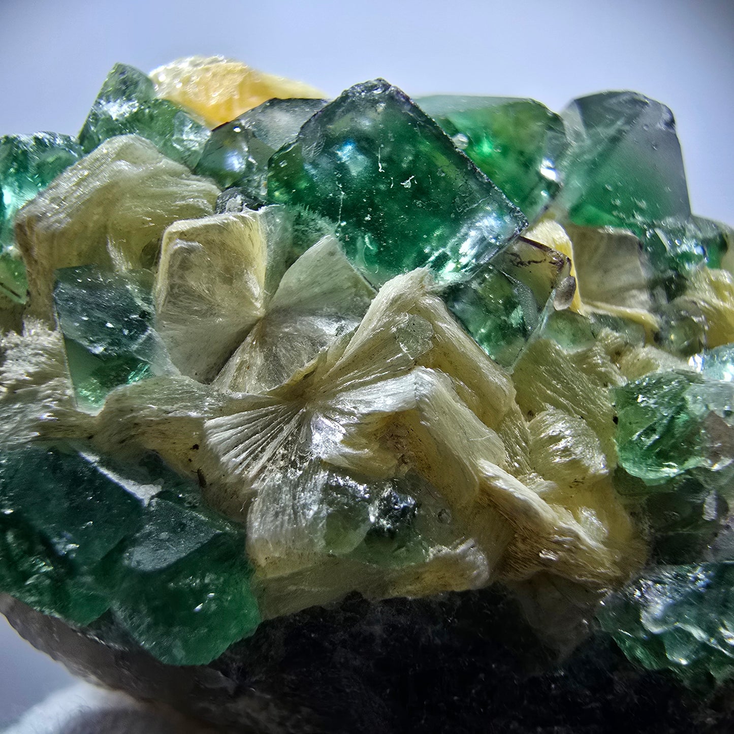 Rare Phantom Fluorite Cubes, Muscovite Specimen Erongo, Namibia 51*31*24mm 