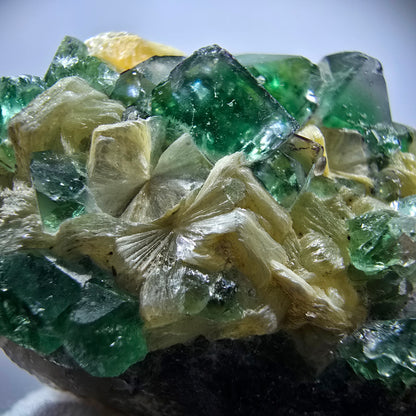 Rare Phantom Fluorite Cubes, Muscovite Specimen Erongo, Namibia 51*31*24mm 