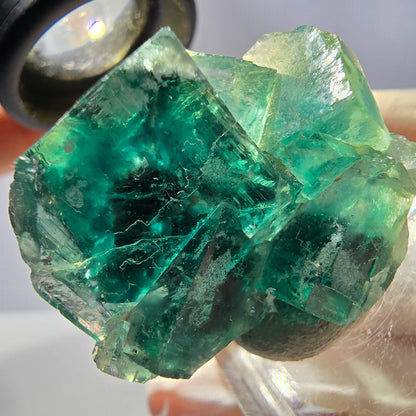 Rare spécimen de cube de fluorite fantôme, vert Okorusu, Namibie 32 x 29 x 17 mm 