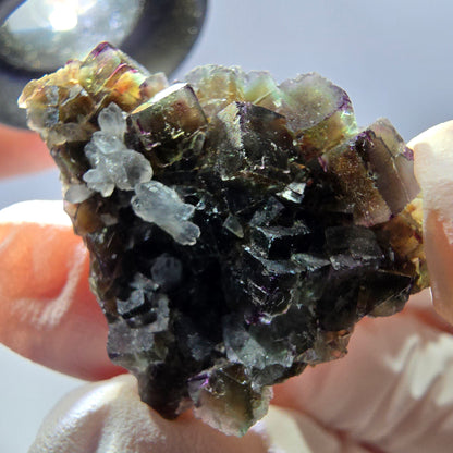 Rare cube de fluorite fantôme, spécimen de quartz vert violet Okorusu Namibie 29 x 26 x 12 mm 