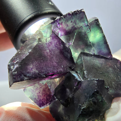 Spécimen de cube de fluorite fantôme parqueté vert violet Okorusu, Namibie 47*36*22mm 