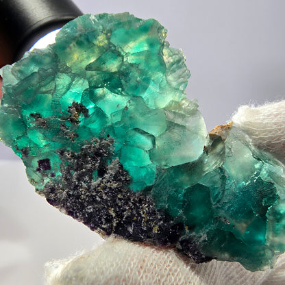 Rare spécimen de cube de fluorite fantôme, parqueté vert Okorusu, Namibie, 55 x 34 x 17 mm 