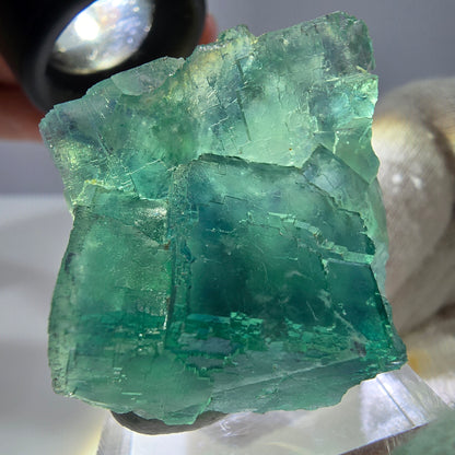 Spécimen de cube de fluorite fantôme parqueté vert turquoise Okorusu, Namibie 41*35*22mm 