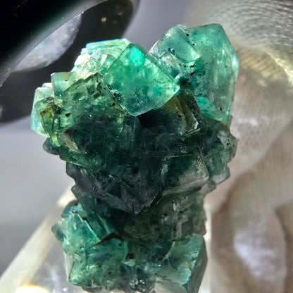 Cube de fluorite fantôme, spécimen de tourmaline Schorl, Erongo, Namibie, 34 x 27 x 22 mm 
