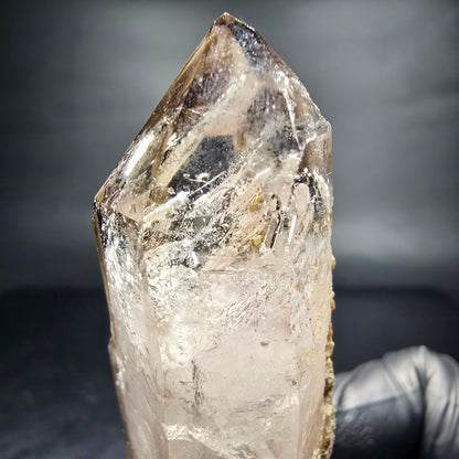Points à double terminaison en quartz fumé fantôme clair Goboboseb namibie 62*25*19mm