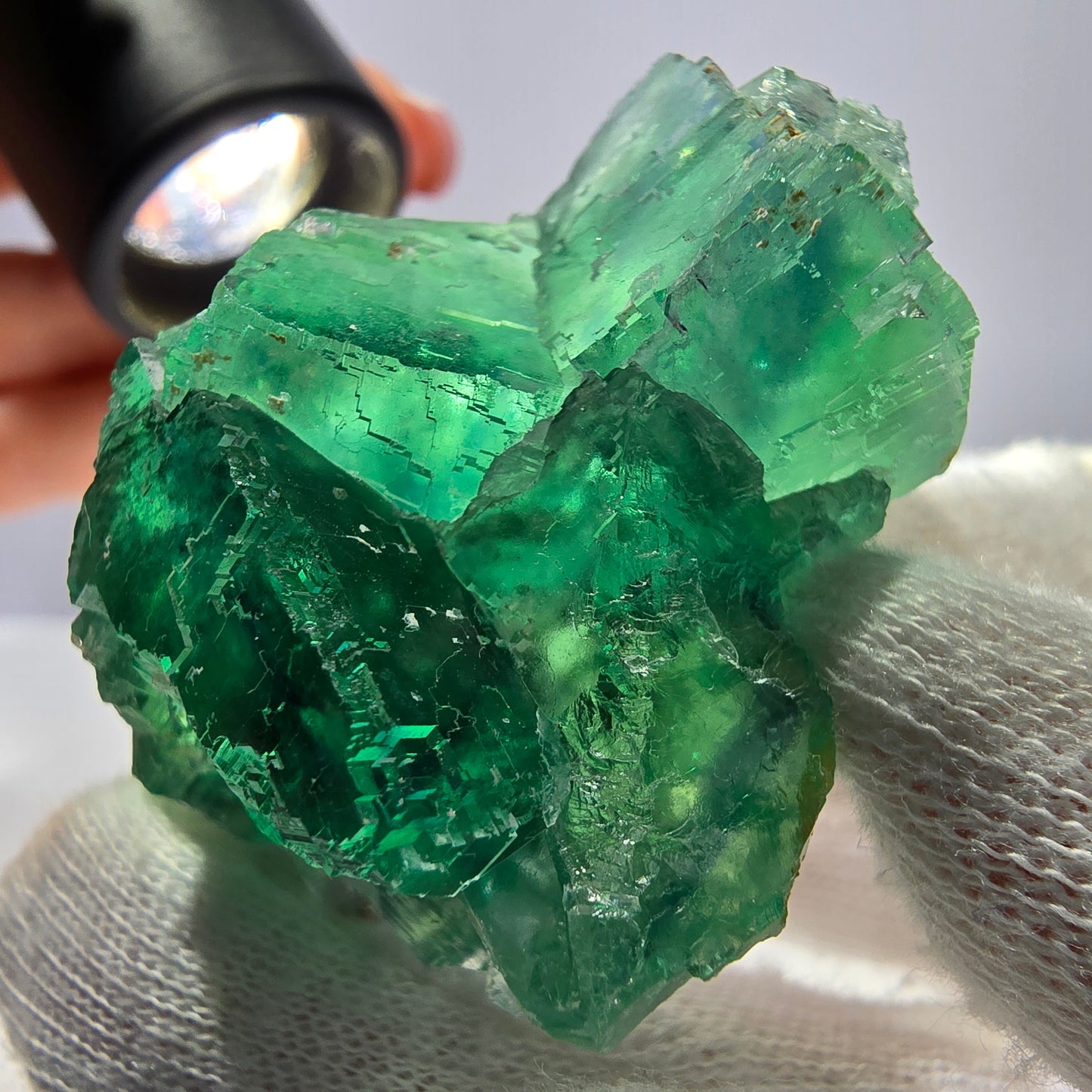 Rare spécimen de cube de fluorite fantôme, parqueté vert Okorusu, Namibie, 47 x 42 x 25 mm 