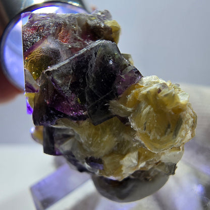 Spécimen de fluorite fantôme colorée, tourmaline scholle, muscovite, Erongo, Namibie, 27 x 24 x 18 mm 
