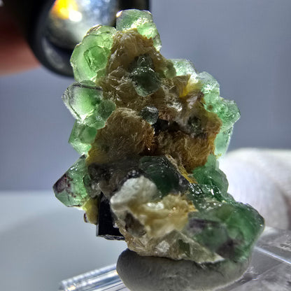 Cube de fluorite fantôme, spécimen de tourmaline scholle muscovite, Erongo, Namibie, 27 x 21 x 22 mm 