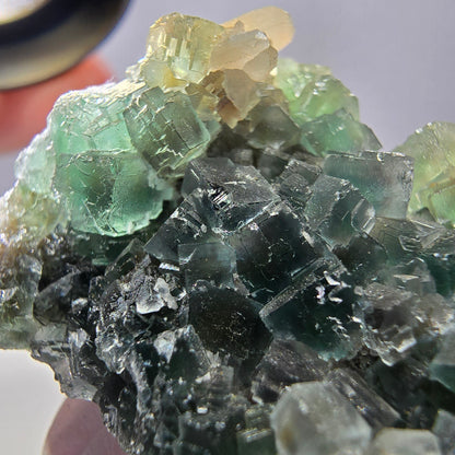 Rare cube de fluorite fantôme, spécimen de quartz vert Okorusu, Namibie, 55 x 33 x 24 mm 