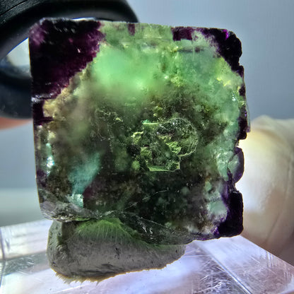 Phantom Fluorit Würfel Stufe, parkettiert, zonal Okorusu, Namibia 27*24*14mm