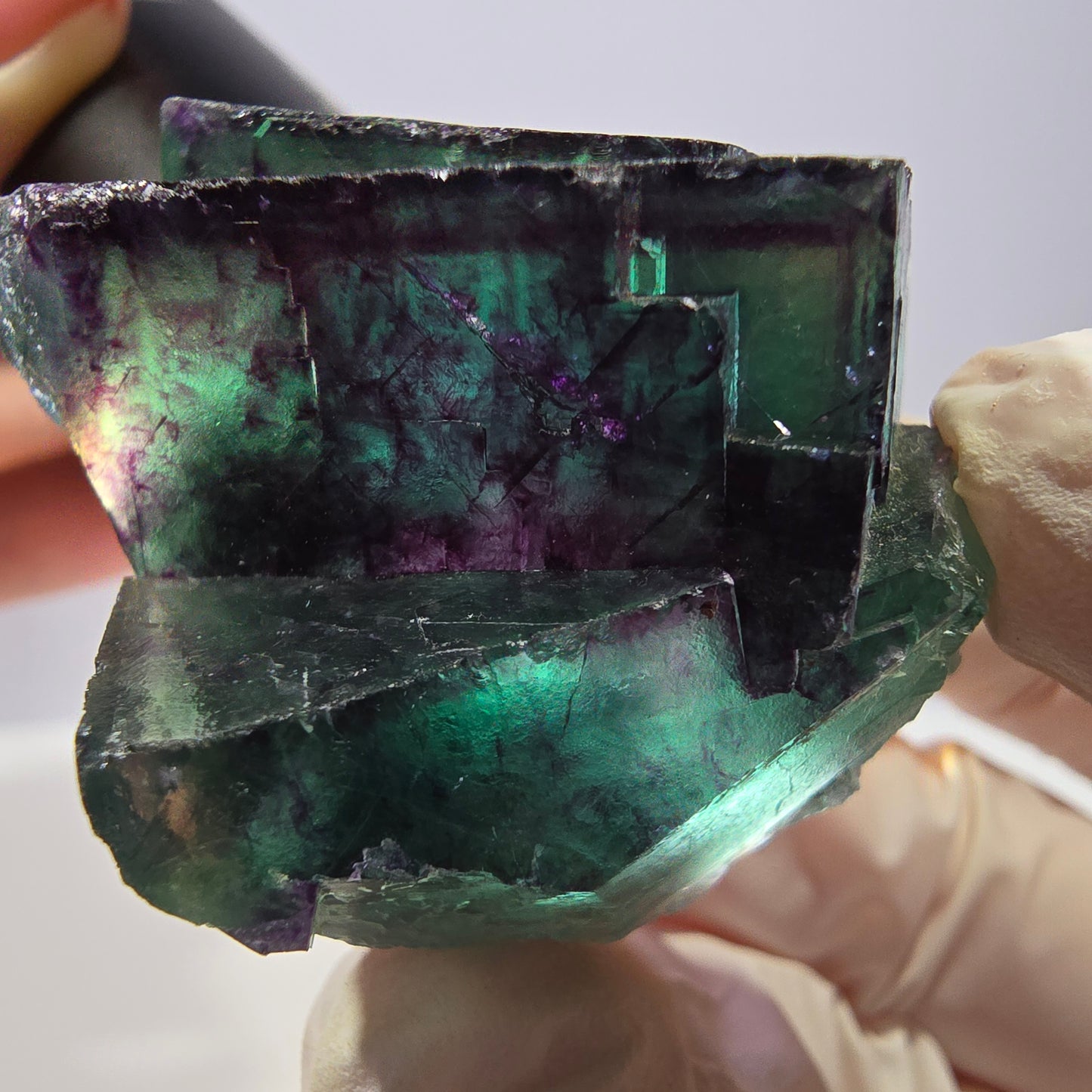 Spécimen de cube de fluorite fantôme, parqueté vert violet Okorusu, Namibie 41*41*25 mm 