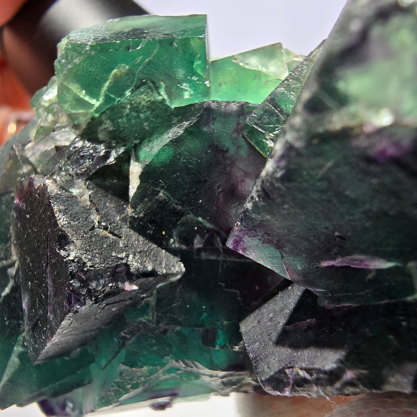Große Phantom Fluorit Würfel Stufe parkettiert zonal Okorusu Namibia 100*47*36mm
