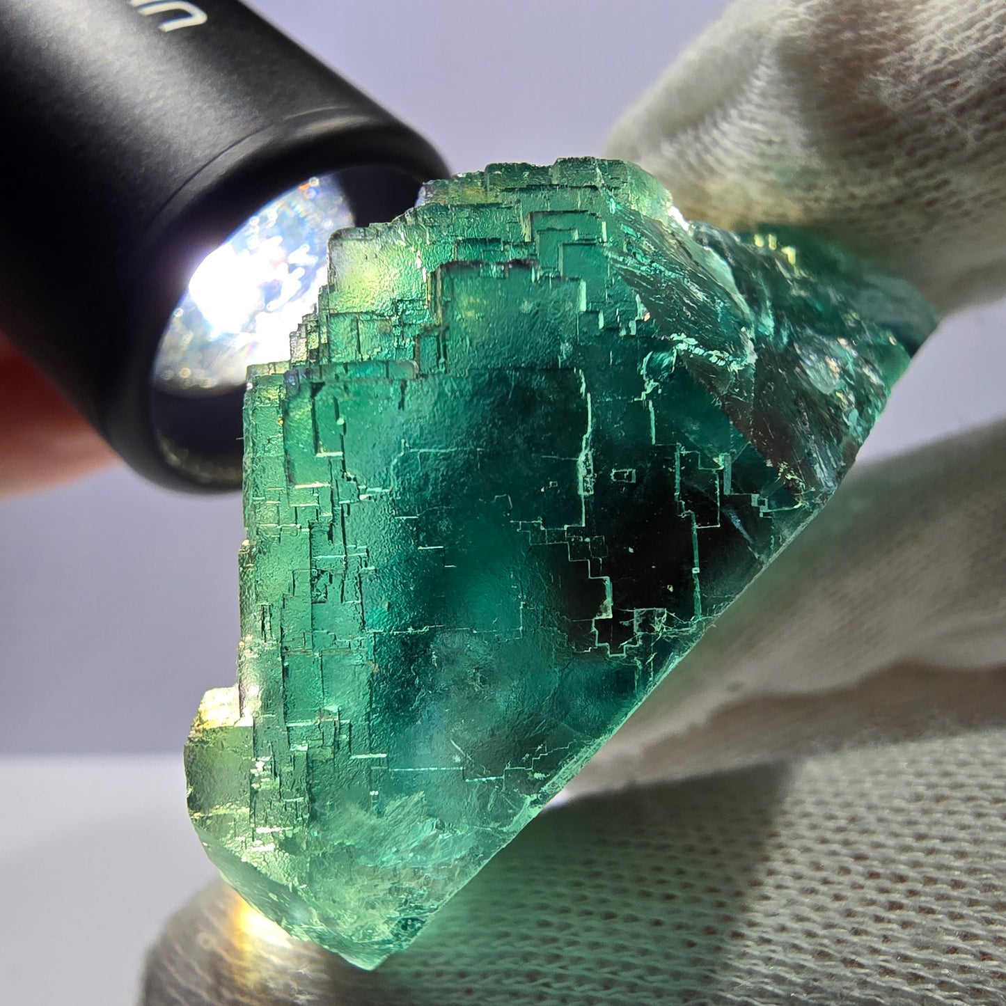 Spécimen de cube de fluorite fantôme transparente, parqueté Okorusu Namibie 66*54*34mm 