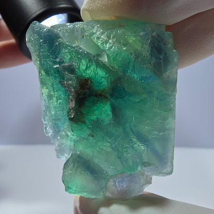 Spécimen de cube de fluorite fantôme transparente, vert parqueté, Okorusu, Namibie, 44 x 37 x 27 mm 