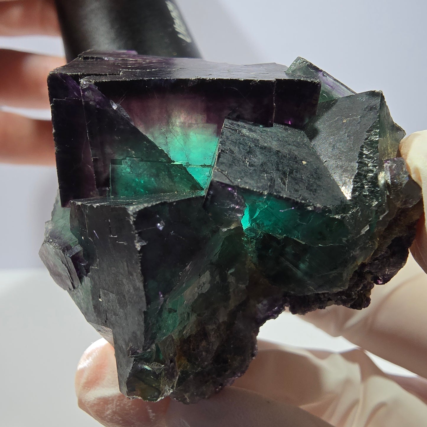 Spécimen de cube de fluorite fantôme, parqueté vert violet Okorusu, Namibie 56*51*45 mm 