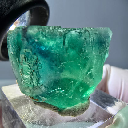 Cube de fluorite fantôme transparente parquetée, vert Okorusu, Namibie 30 x 23 x 21 mm 