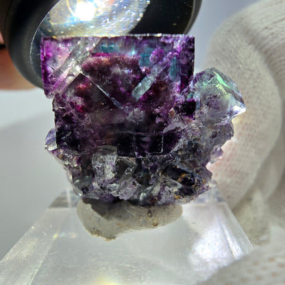 Spécimen rare de cube de fluorite fantôme, vert zonal et violet, Okorusu, Namibie, 32 x 29 x 18 mm 
