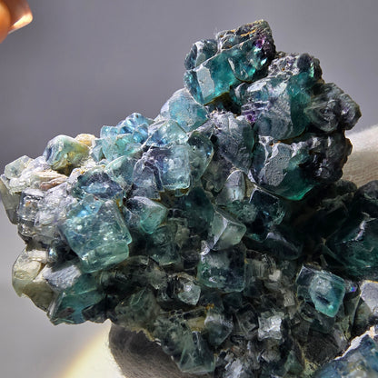 Rares cubes de fluorite fantôme zonaux, vert violet, Erongo, Namibie 75 x 53 x 15 mm 