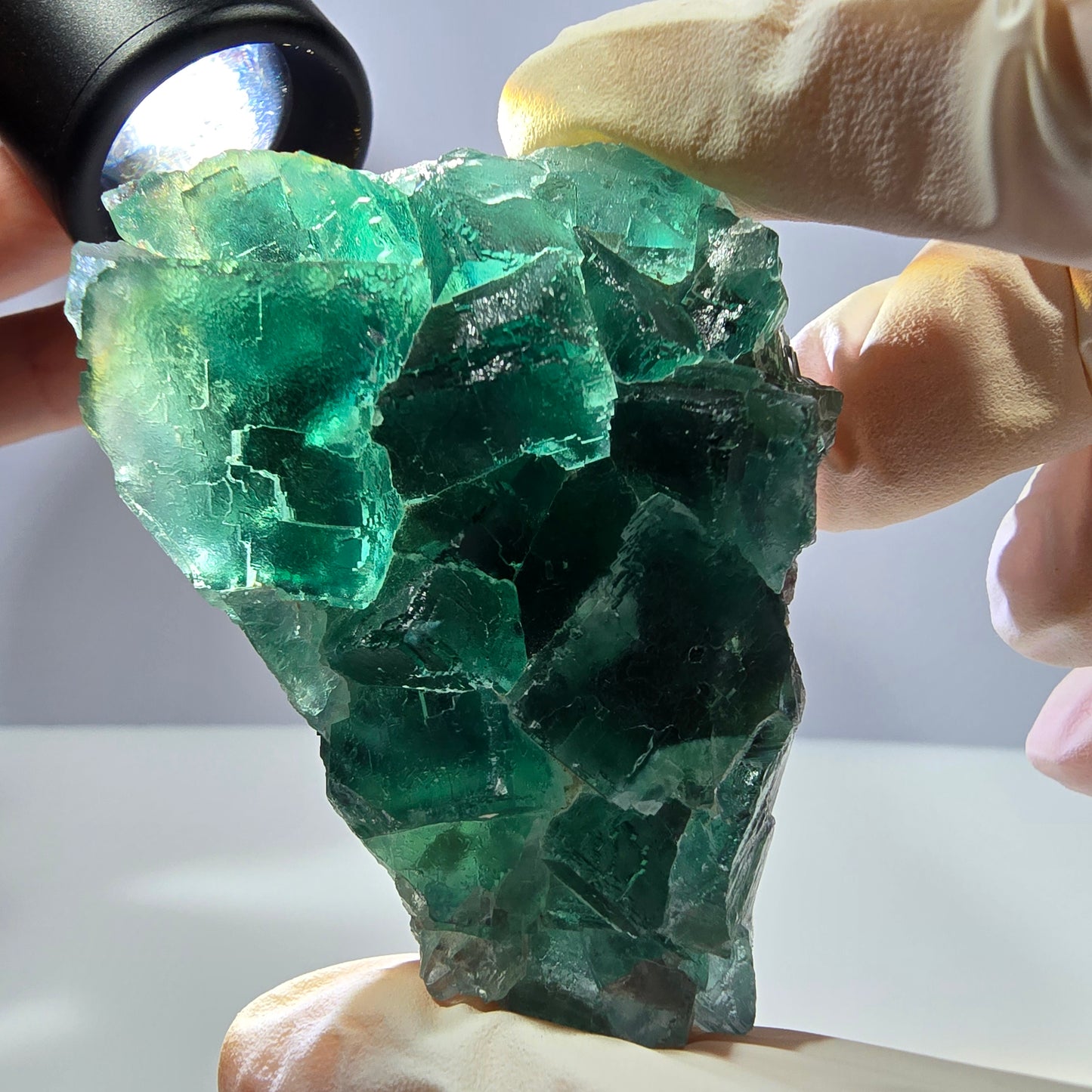Rare spécimen de cube de fluorite fantôme, parqueté vert Okorusu, Namibie, 61 x 48 x 24 mm 