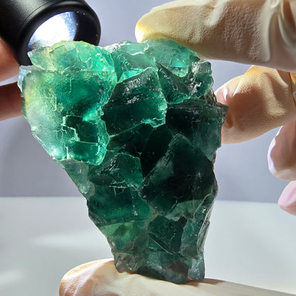 Rare spécimen de cube de fluorite fantôme, parqueté vert Okorusu, Namibie, 61 x 48 x 24 mm 