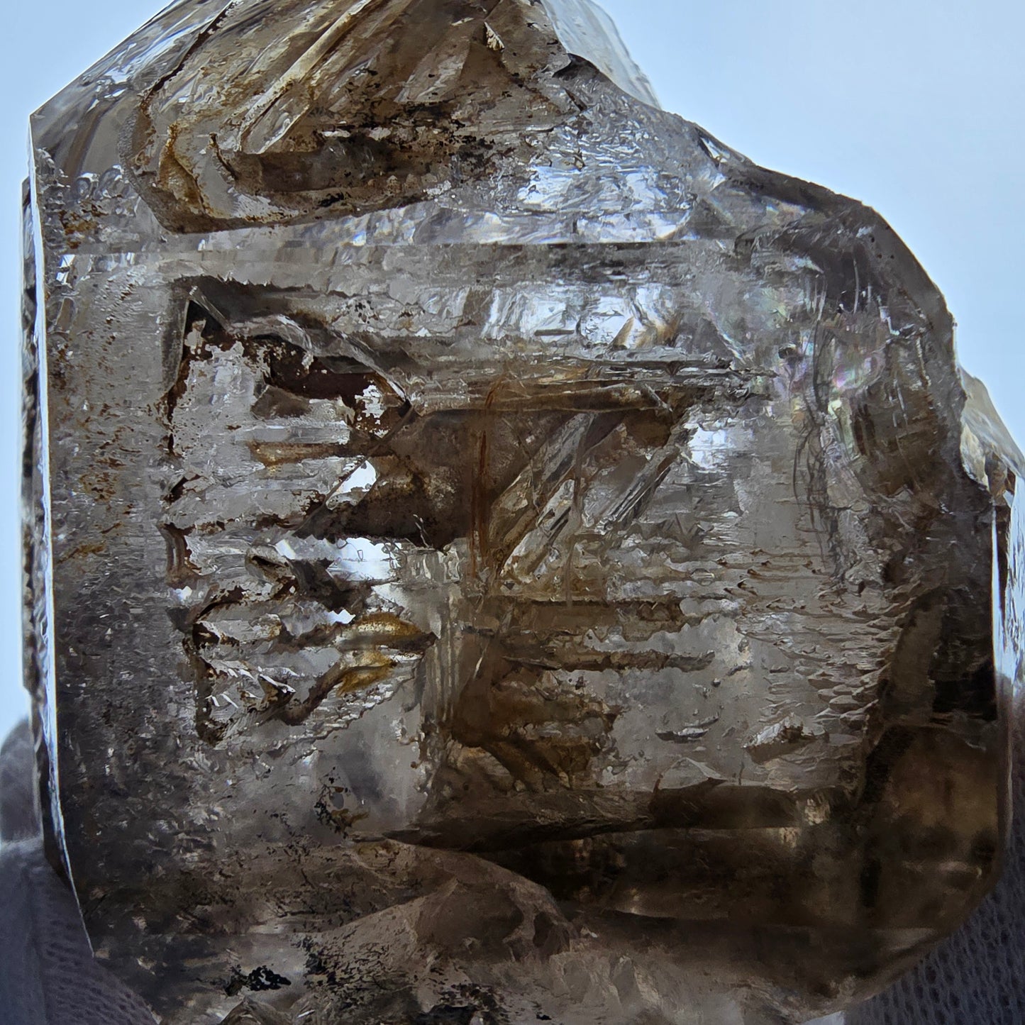 XL Enhydro Window Smoky Quartz DT Scepter, 1x Bubble Valentine Pocket Namibia 110*103*74mm 