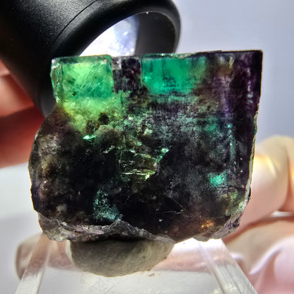 Phantom Fluorit Würfel Stufe, parkettiert grün lila Okorusu, Namibia 28*26*25mm