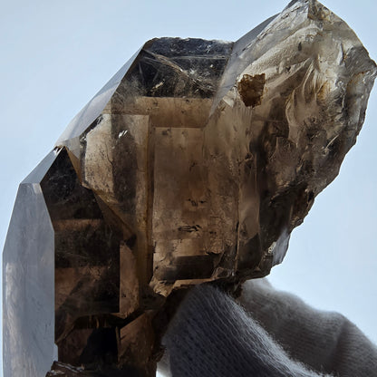 Sceptre fantôme squelette en quartz fumé, poche Saint-Valentin, Namibie, 98 x 54 x 46 mm 