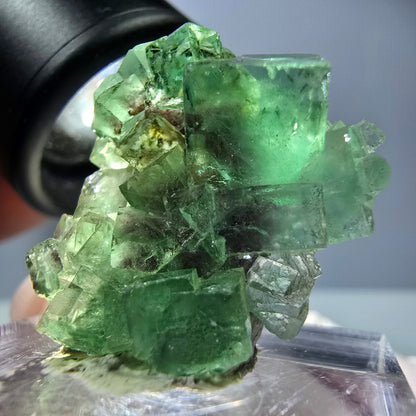 Spécimen de cube de fluorite fantôme, vert violet, Okorusu, Namibie, 25 x 24 x 15 mm 