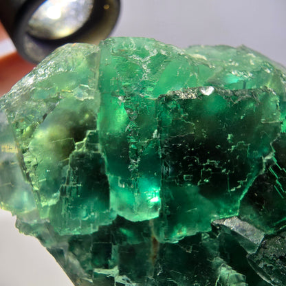 Spécimen de cube de fluorite fantôme transparente, vert parqueté, Okorusu, Namibie, 77 x 54 x 38 mm 