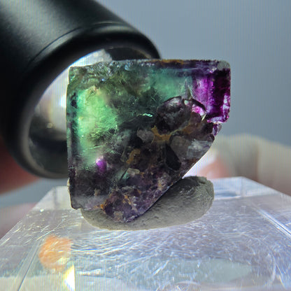 Spécimen de cube de fluorite fantôme, parqueté vert violet Okorusu, Namibie 15*15*14 mm 