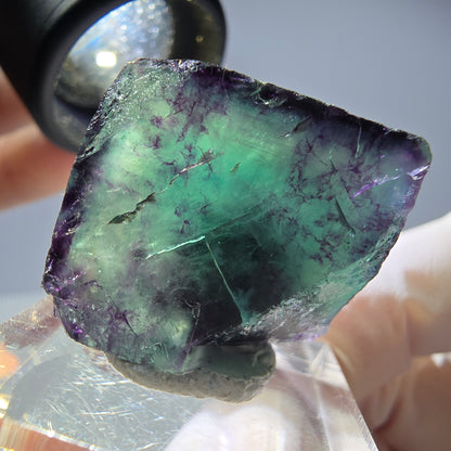 Rare cube de fluorite fantôme parqueté vert violet Okorusu Namibie 23*21*13mm 