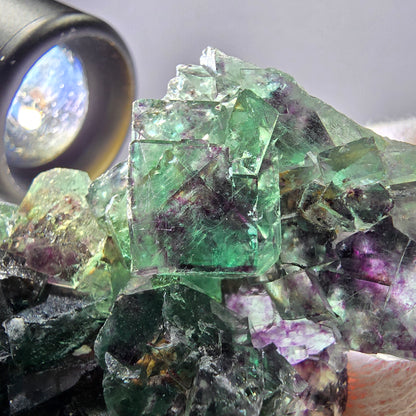 Spécimen de cube de fluorite fantôme transparent, parqueté, zonal, Okorusu, Namibie, 72 x 54 x 23 mm 