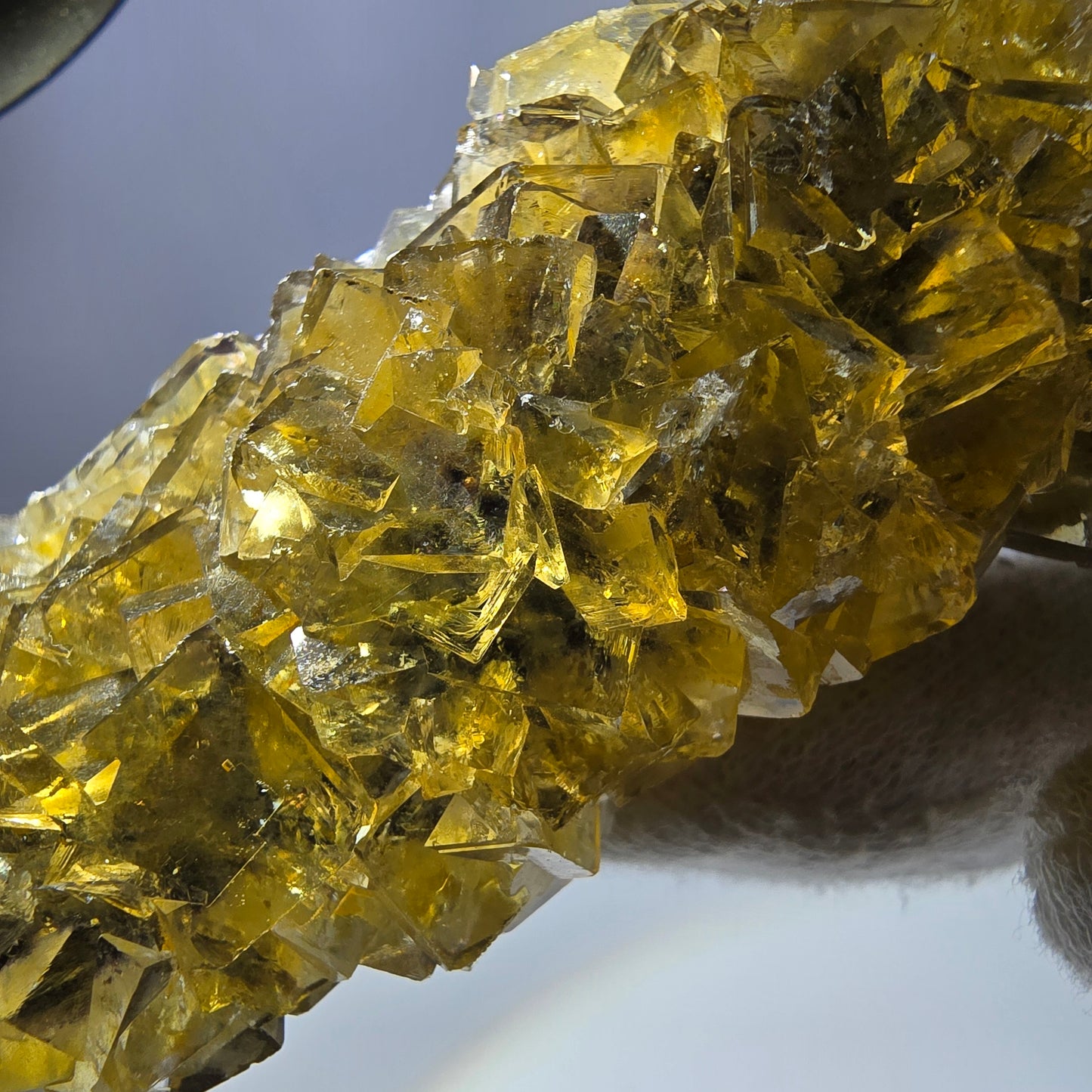 Grand spécimen de cube de fluorite fantôme, poche jaune miel, Okorusu, Namibie, 101 x 30 x 34 mm 