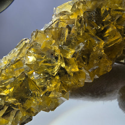 Grand spécimen de cube de fluorite fantôme, poche jaune miel, Okorusu, Namibie, 101 x 30 x 34 mm 