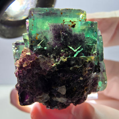 Spécimen de cube de fluorite fantôme, parqueté vert violet Okorusu, Namibie 28*27*22 mm 