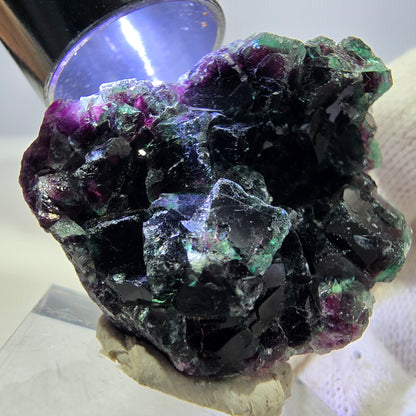 Klare Phantom Fluorit Würfel Stufe, grün lila Okorusu, Namibia 36*33*14mm