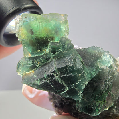 Rare spécimen de cube de fluorite fantôme, parqueté vert Okorusu, Namibie, 61 x 42 x 37 mm 
