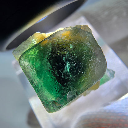 Cube de fluorite fantôme, spécimen de muscovite, Erongo, Namibie, 20 x 16 x 15 mm 